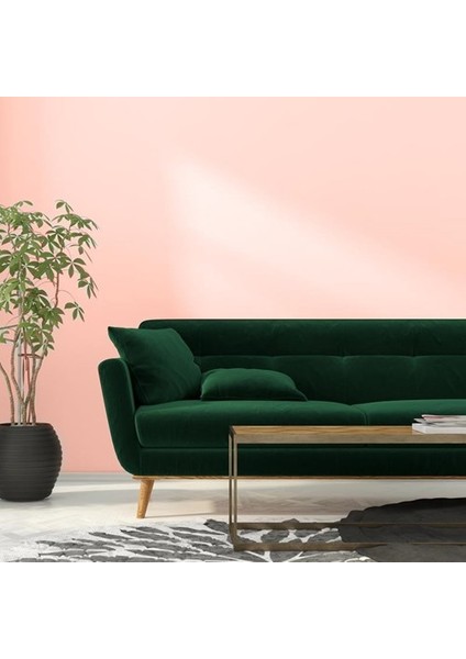 Yazlık Yenileme Seti İç Cephe 2,5 Lt Nar Çiçeği fırsatları