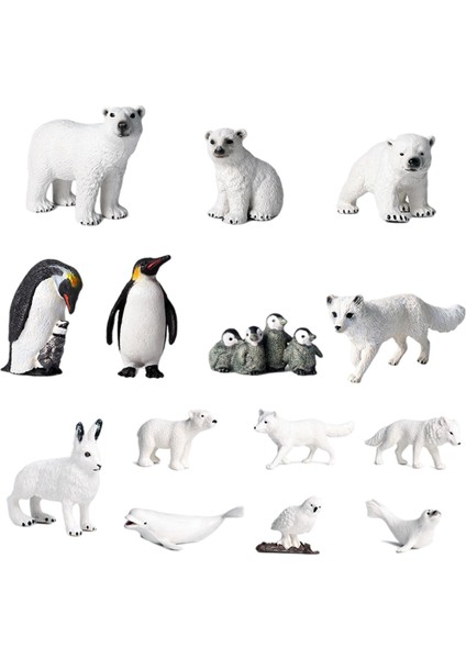 Polar Hayvan Modeli Kutup Ayısı Kindergarten 14 Adet Için Hayat Benzeri Hayvan Modeli Ekranı (Yurt Dışından)