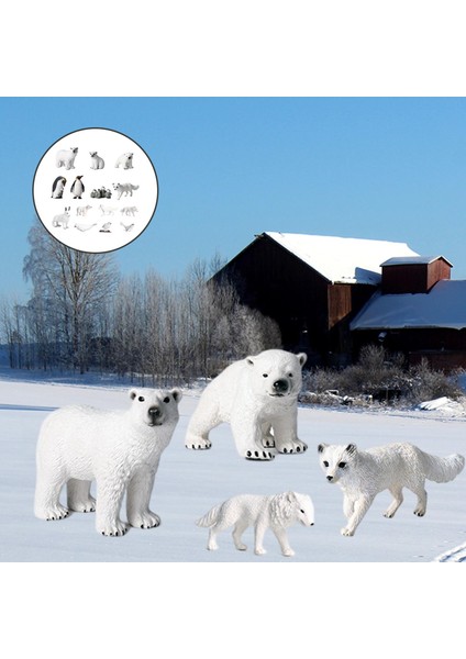 Polar Hayvan Modeli Kutup Ayısı Kindergarten 14 Adet Için Hayat Benzeri Hayvan Modeli Ekranı (Yurt Dışından)