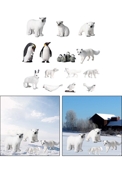 Polar Hayvan Modeli Kutup Ayısı Kindergarten 14 Adet Için Hayat Benzeri Hayvan Modeli Ekranı (Yurt Dışından)