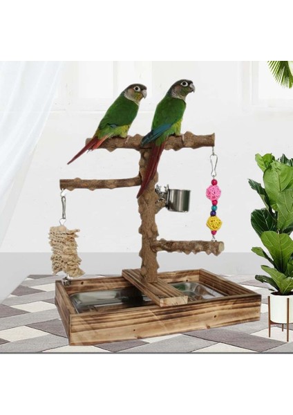 Kuş Oyun Alanı Muhabbet Kuşları Için Kuş Oyun Parkı (Yurt Dışından) fiyatları