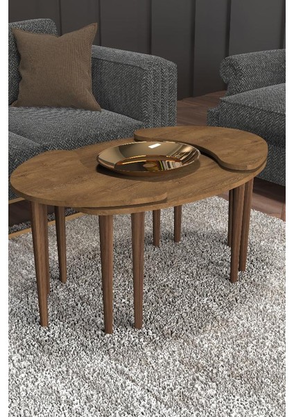 Ahşap Desenli Mdflam Orta Sehpa - 3lü Sehpa - Zigon Sehpa fırsatları