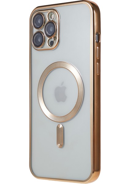 iPhone 12 Pro Max Telefon Kılıfı (Yurt Dışından)