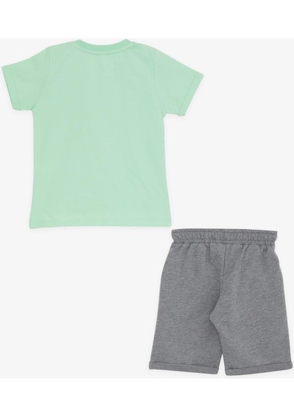 Girls & Boys Erkek Çocuk Şortlu Takım Kaplan Baskılı 1-4 Yaş, Su Yeşili fiyatları