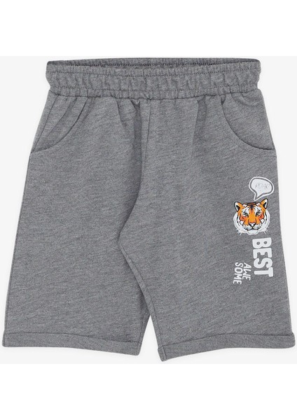 Girls & Boys Erkek Çocuk Şortlu Takım Kaplan Baskılı 1-4 Yaş, Su Yeşili fırsatları