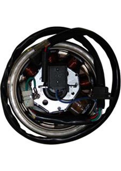 Manyeto (Alternatör) Komple 8 Li