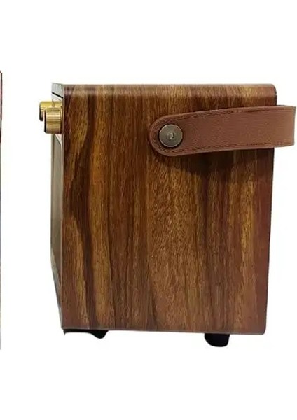 Karaoke Mikrofonlu Bluetooth Speaker 10W 4" Haparlör Kablosuz Karaoke