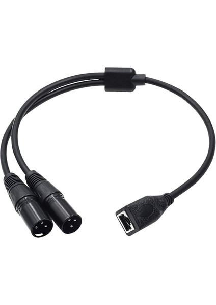 Çift Xlr 3pin Erkek - RJ45 Dişi Adaptör Kablosu 0.5m Uzunluğunda (Yurt Dışından)