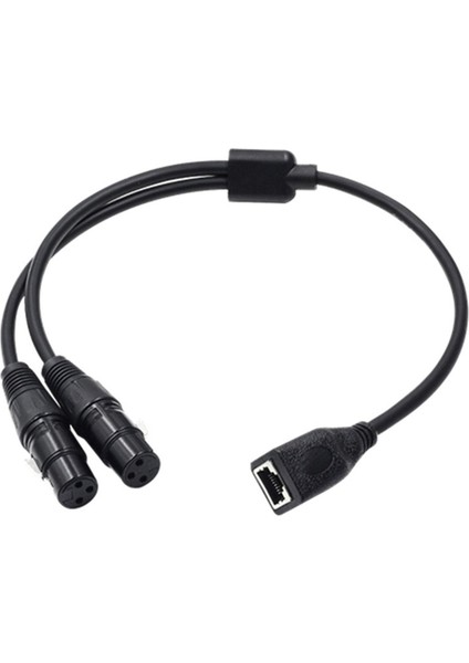 Çift Xlr 3pin Dişi - RJ45 Adaptör Kablosu, RJ45 Ila Çift Xlr Dişi Kablosu (Yurt Dışından)