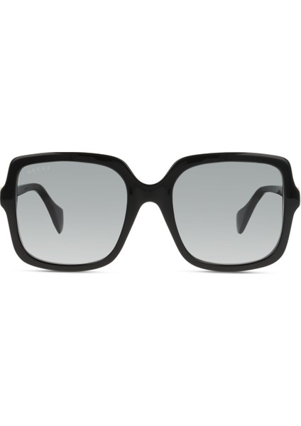 GG1070S 001 54*21*145