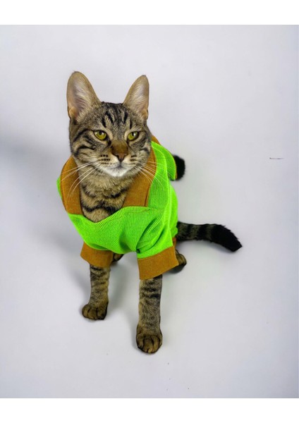 Froggy Kulaklı Duo Kedi Tulumu,kıyafeti