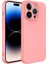 Apple iPhone 14 Pro Max Kılıf Lansman Tasarım Iç Yüzeyi Kadife Silikon 1
