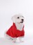 Küçük ve Orta Irk Kırmızı Polar Sweatshirt Pops 2
