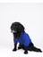 Küçük ve Orta Irk Saks Mavi Baskılı Sweatshirt Marble 1