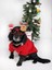 Küçük ve Orta Irk Kırmızı Polar Sweatshirt New Year 1