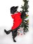 Küçük ve Orta Irk Kırmızı Polar Sweatshirt New Year 4
