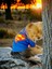 Superman Köpek Tişört Köpek Kıyafeti 1