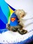 Superman Köpek Tişört Köpek Kıyafeti 2