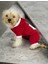 Kırmızı Sevimli Fare Duo Kapşonlu Köpek Tulumu 4