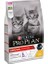 Kitten Tavuklu 1 kg Yavru Kuru Kedi Maması 2