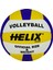 Icon Voleybol Topu 1