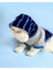 Blue Line Sweatshirt Kapşonlu Kedi Kıyafeti Kedi Sweatshirt 3