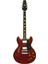 Pro Iı Taclassıcwr Elektro Gitar 1