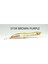 Z-Walker 100MM 11GR Su Üstü Maket Balık 006 Mıror Mullet 3