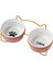 Yükseltilmiş Cat Bowl Pet Yavaş Besleyici Koruma Servikal Kitty Snack Kase Taşınabilir Aureate (Yurt Dışından) 2