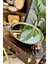 At Figürlü Yuvarlak Aynalı Gümüş Jardinyer 2