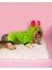 Shipy Pink Stripe Kulaklı Duo Köpek Tulumu Kıyafeti 2