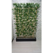 Erhan Flowers 100 cm Mdf Saksıda 200 cm 15 Adet Bambu Speratör