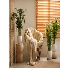 Serada Decor Plant Areka Palmiyesi 140-160CM Dolgun Formlu Iç Mekan - Ofis - Salon Bitkisi