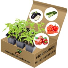 Serada Decor Plant Sebze Fidesi 100 Adet Karışık ( Örnek Olarak: Domates, Biber, Patlıcan, Kavun, Hıyar) Bol Verimli