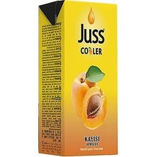 Juss Cooler 1/5 Kayısı Meyveli İçecek 27'li