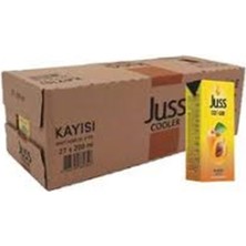 Juss Cooler 1/5 Kayısı Meyveli İçecek 27'li