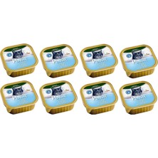 Plaisir Pate Ton Balıklı Kedi Yaş Konserve Maması 100 gr 8 Adet