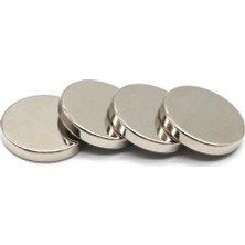 Hdg Çok Güçlü Neodyum Mıknatıs Yuvarlak Disk 30X5 mm