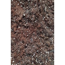 Serada Decor Plant Özel Karışım Vitaminli Sukulent Toprağı 3litre