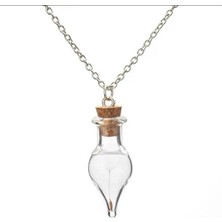 Herşey Nota Karahindiba Fanus Şeffaf Şişe Cam Ampül Kolye