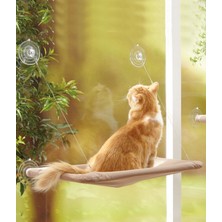 Aqua Home Cama Yapışan Kedi Yatağı