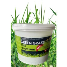 Agroderm Çim Çoşturan 6 kg