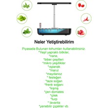 Ecuy Akıllı Bahçe 4 Mevsim Topraksız Ev Bahçesi Doğal Bitki Sebze Yetiştirme 12 Bölmeli Alan