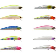 Ecotackle Air Dragon 90S 9cm 16GR Maket Balık