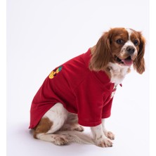 Pawstar Pineapple Küçük Irk Köpek Polo T-Shirtü (2,5 Kg-11 kg Arasına Uygun)