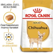 Royal Canin Chihuahua Adult Yetişkin Köpek Maması1,5 kg