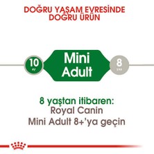 Royal Canin Mini Adult Küçük Irk Yetişkin Köpek Maması 2 kg