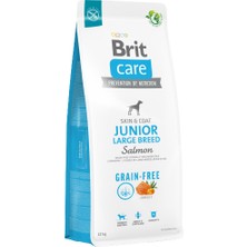 Brit Care Junior Skin & Coat Somonlu Tahılsız Büyük Irk Yavru Köpek Maması 12 kg