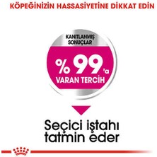 Royal Canin Mini Exigent Yetişkin Köpek Maması 3 kg