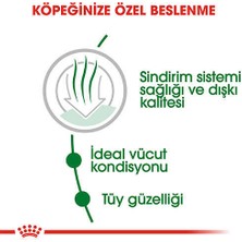 Royal Canin Mini Indoor Adult Yetişkin Köpek Maması 1,5 kg